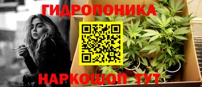 a pvp Гусев
