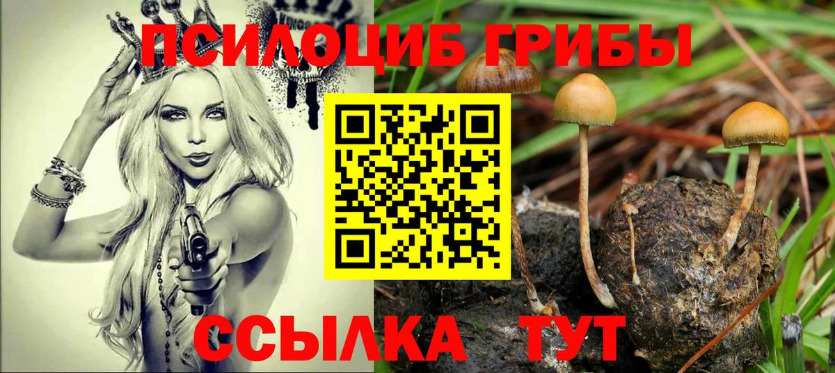 Псилоцибиновые грибы MAGIC MUSHROOMS  Вход с VPN  Псилоцибиновые грибы мухоморы  Менделеевск 
