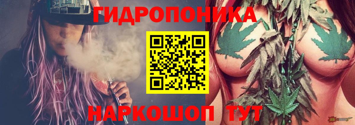 Бошки Шишки план Менделеевск